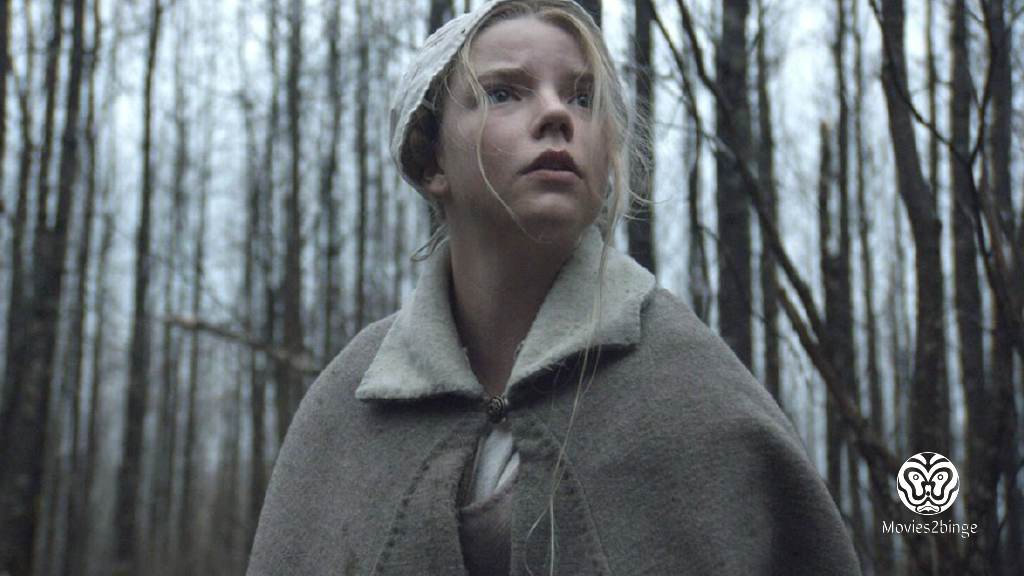 The Northman to watch: Yay or Nay?